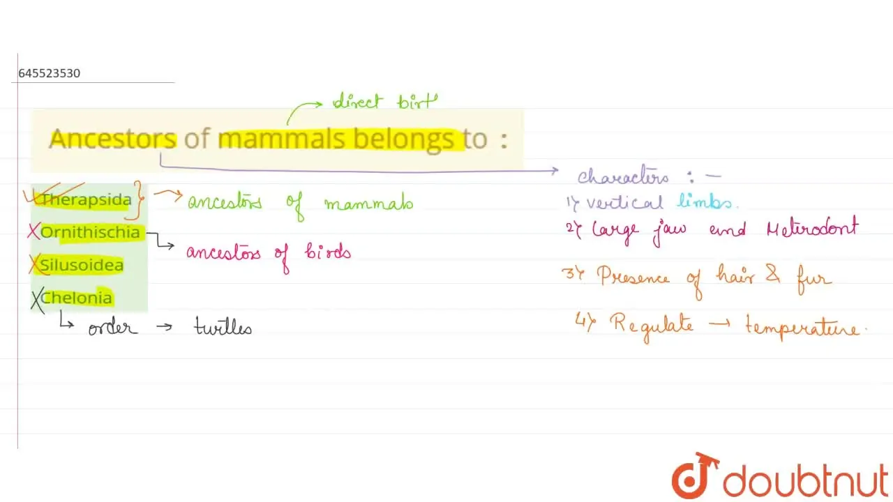 [Bengali Solution] Ancestors of mammals belongs to