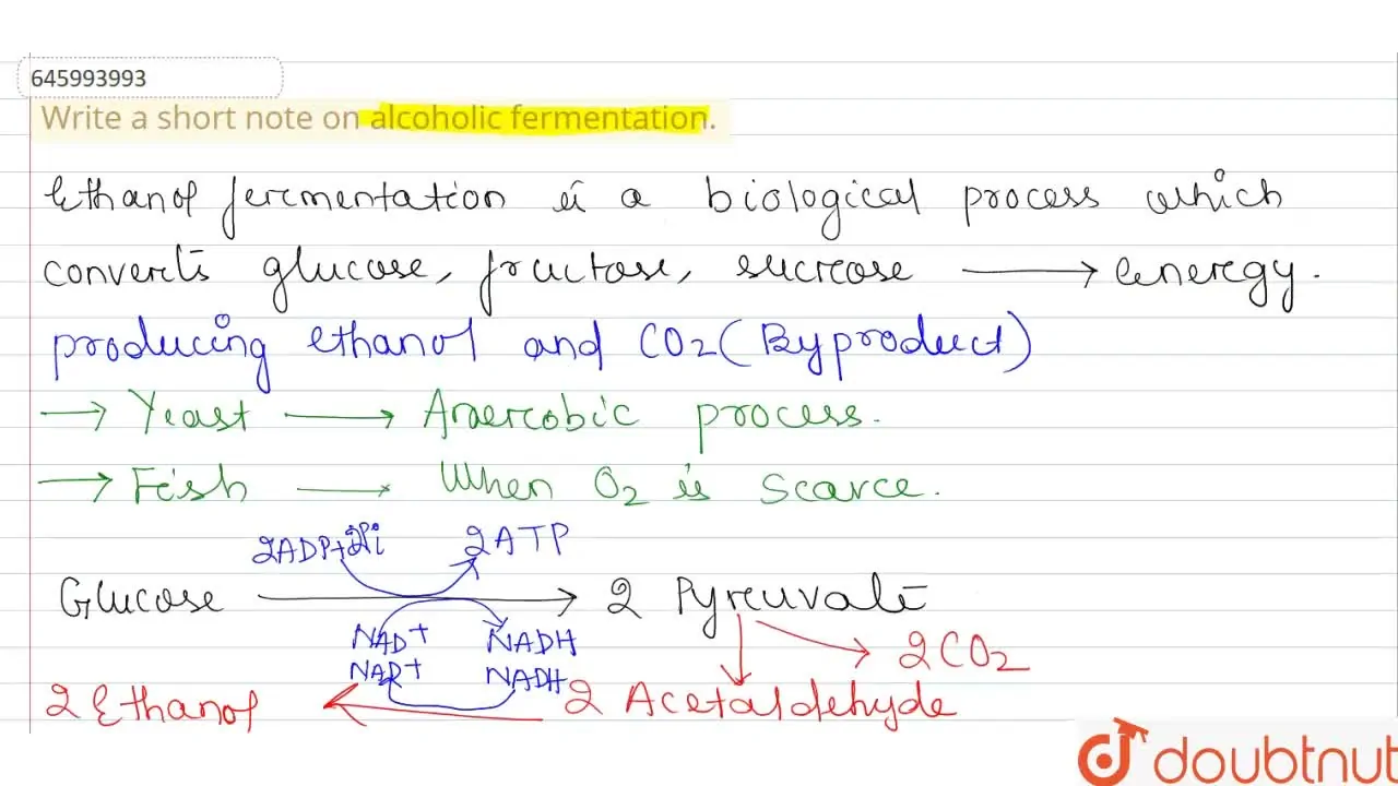 [Odia Solution] Write a short note on alcoholic fermentation.