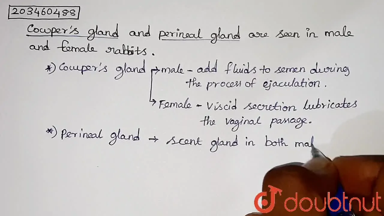 [Tamil Solution] Cowper's gland and perineal gland are seen in male an