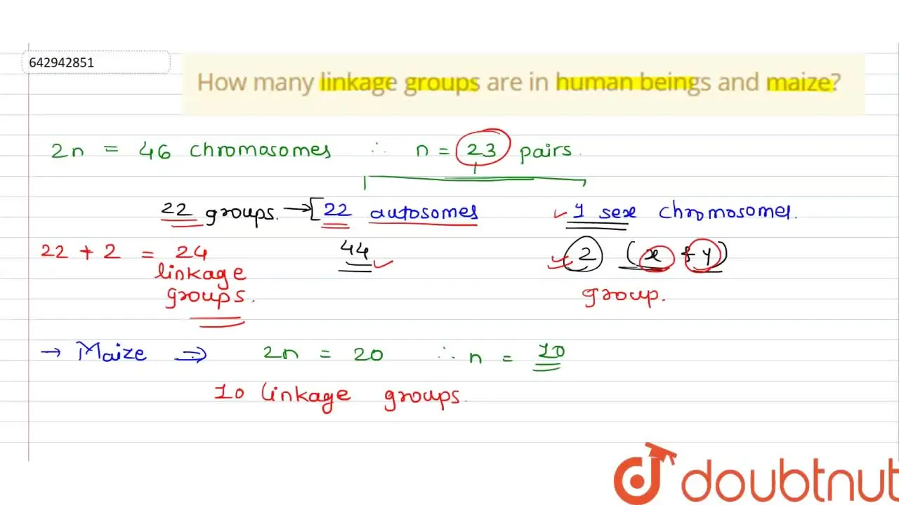 [Marathi Solution] How many linkage groups are in human beings and mai