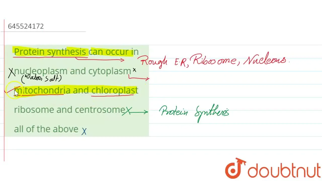 [Bengali Solution] Protein synthesis can occur in
