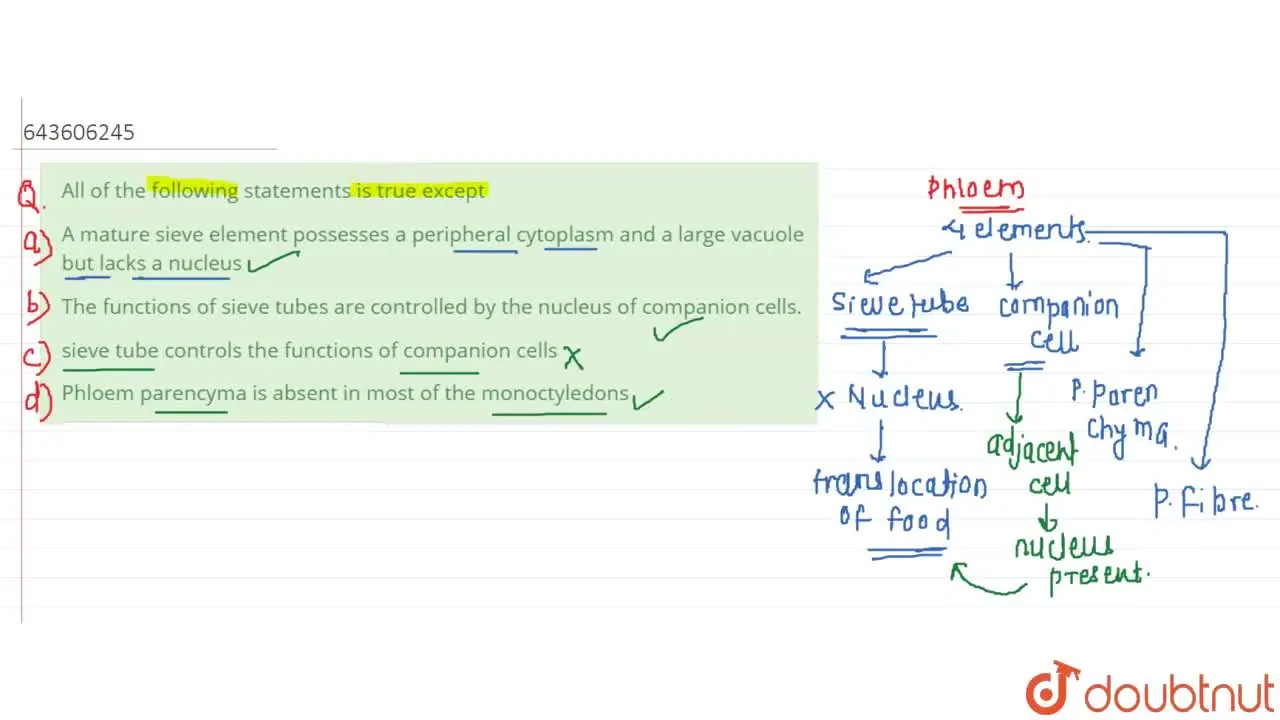 [Marathi Solution] sieve tube controls the functions of companion cell