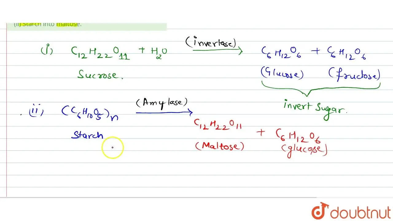 [Punjabi] Name the enzymes which convert (i) Sucrose into gluco