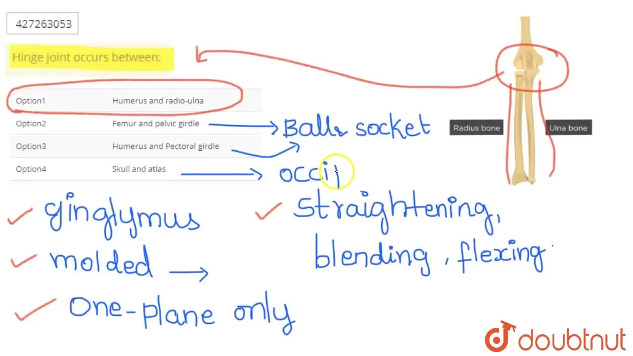 [Tamil Solution] Hinge joint occurs between