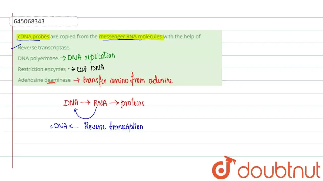 cDNA probes are copied from the mRNA molecules with the help of