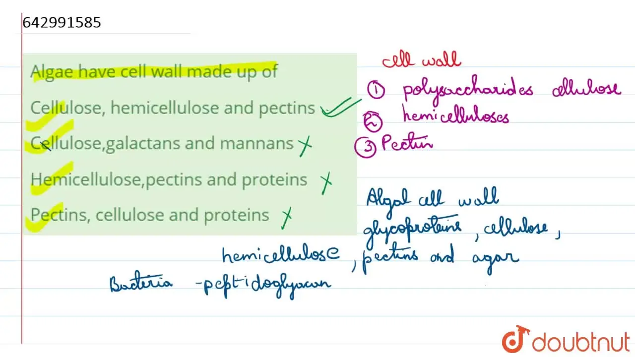 Algae have cell wall made up of